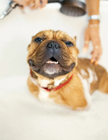 Bathing & Cleaning