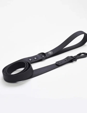 Collars and Leashes