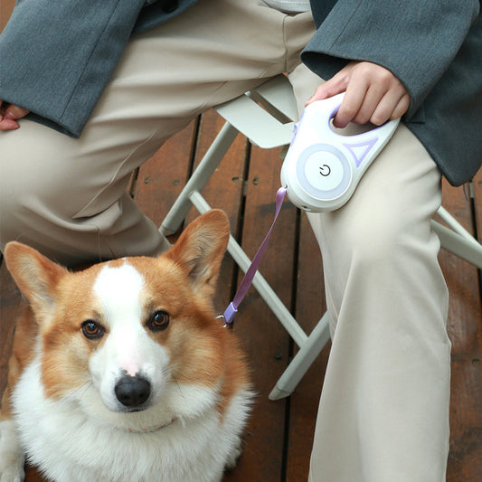 Retractable Dog Leash with Built-in Spotlight & Collar