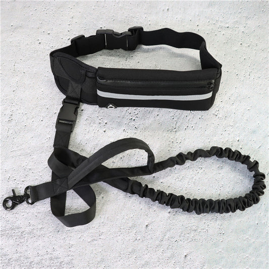 Hands-Free Dog Leash with Shock-Absorbing Bungee Belt
